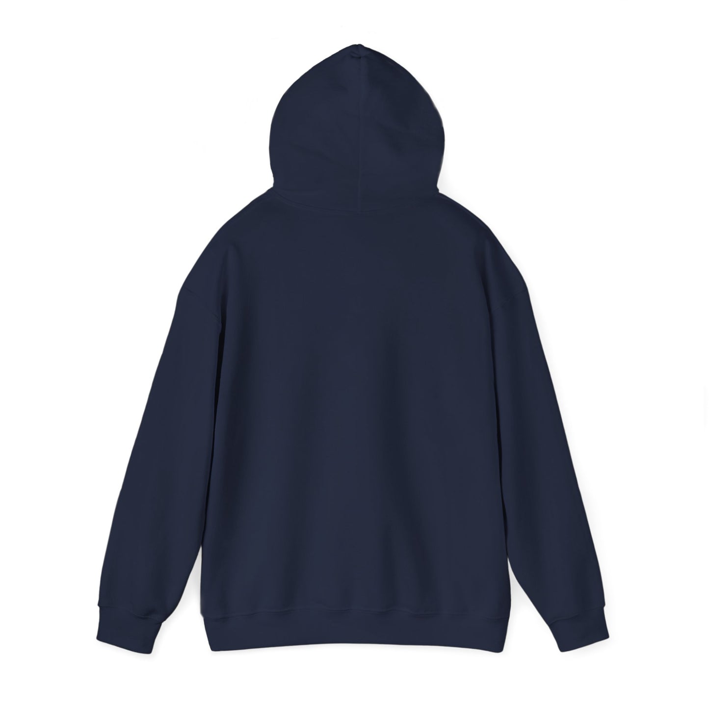 Hoodie — "Your honour I have a citation" Funny Law / Lawyer Sweatshirt