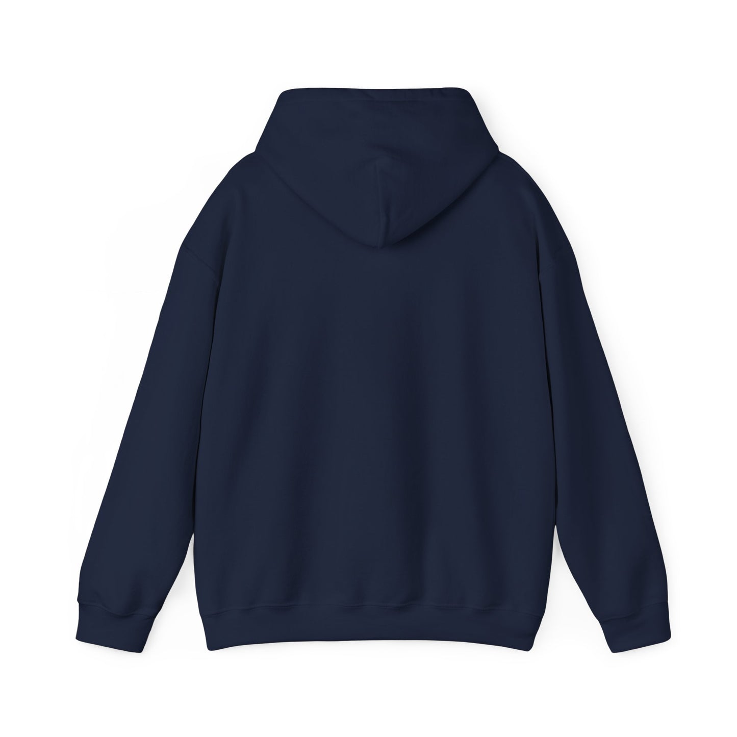 Hoodie — "Your honour I have a citation" Funny Law / Lawyer Sweatshirt
