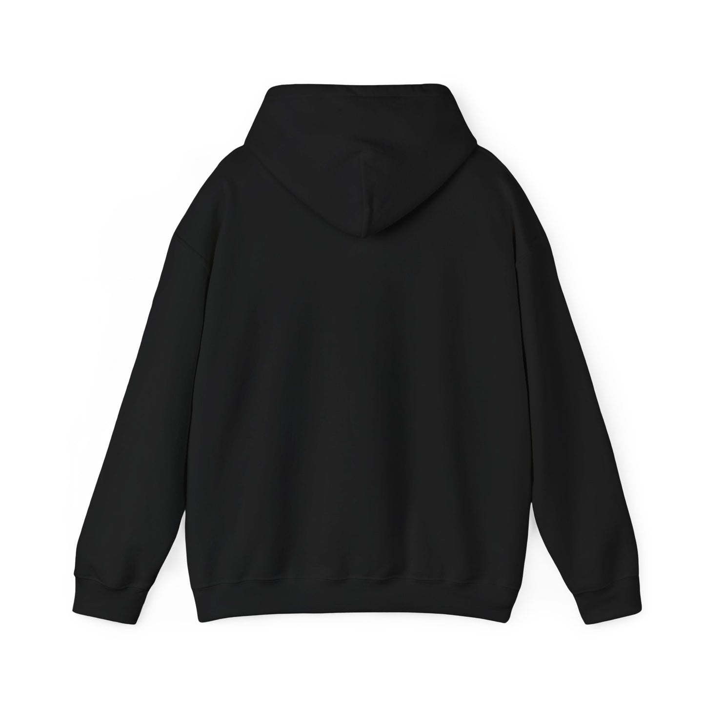 Hoodie — "Your honour I have a citation" Funny Law / Lawyer Sweatshirt